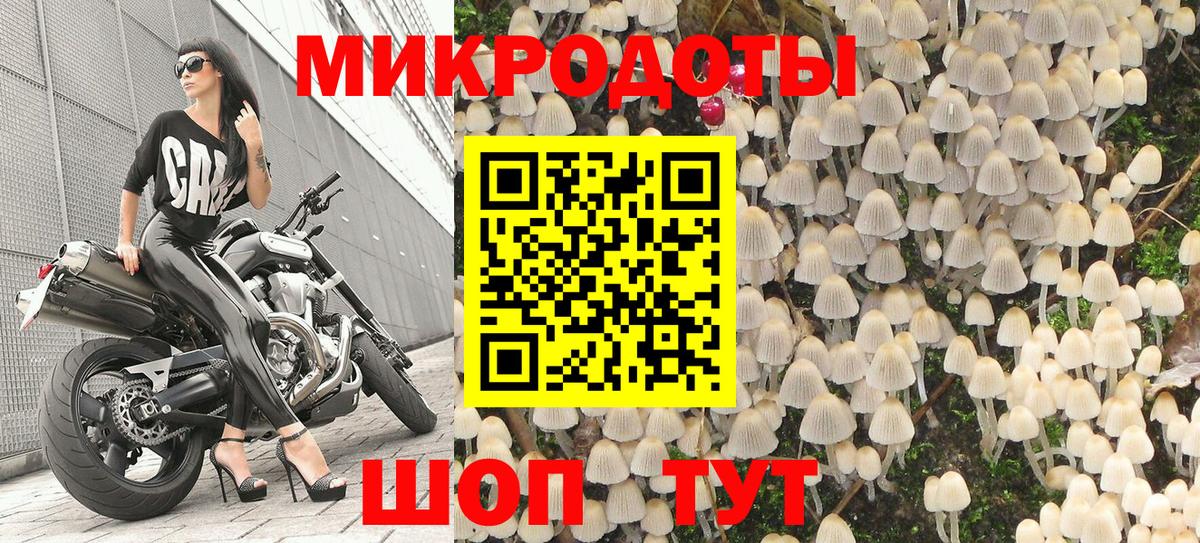 Псилоцибиновые грибы мухоморы Ессентуки