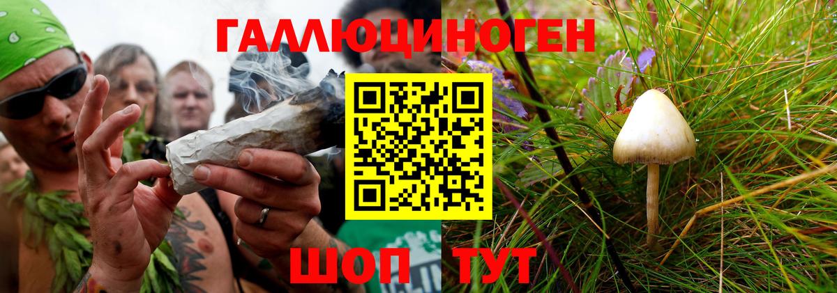 Псилоцибиновые грибы MAGIC MUSHROOMS  купить наркотик  Вход с VPN  Ессентуки  Галлюциногенные грибы GOLDEN TEACHER 